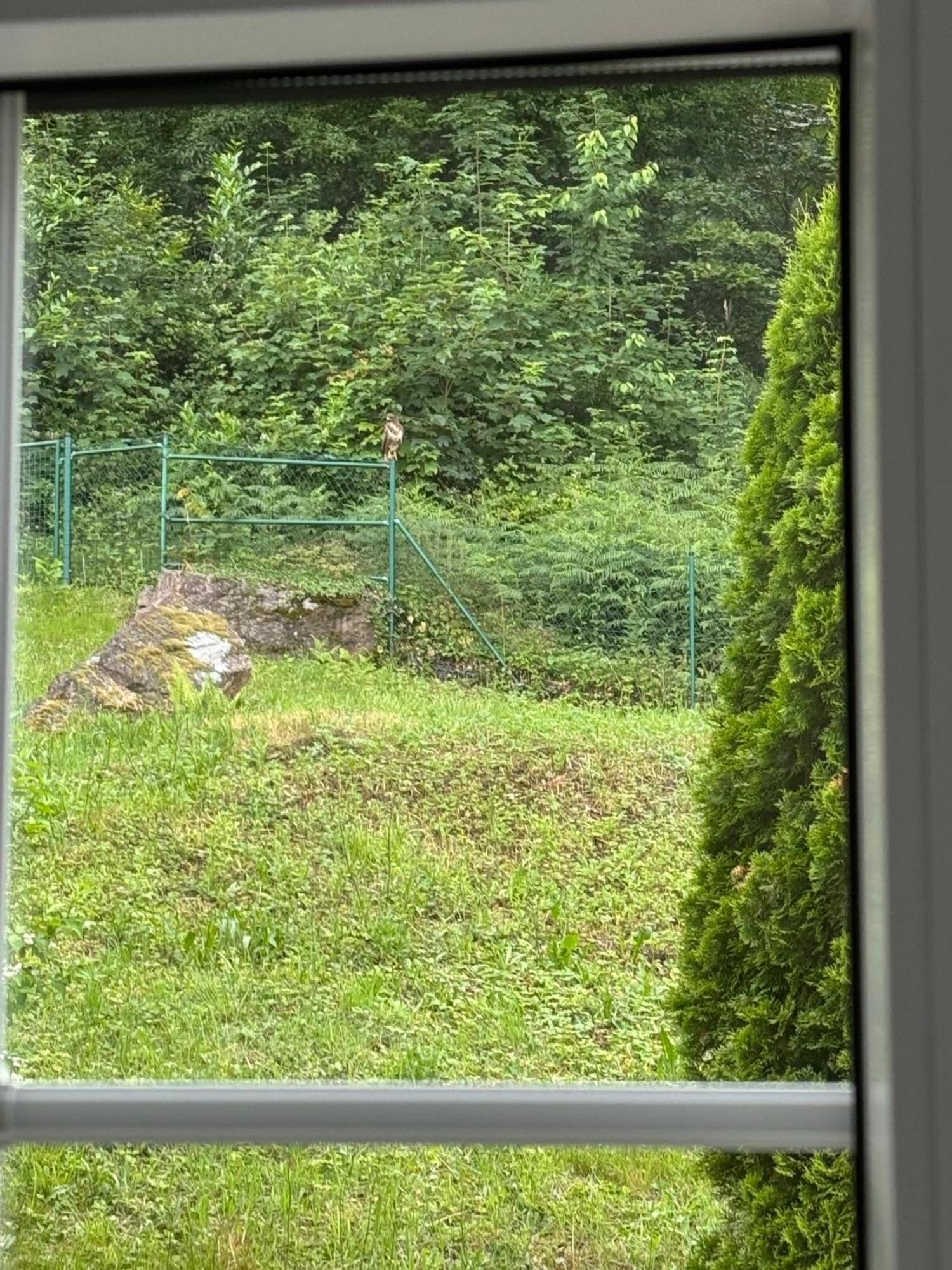 Hawk Appartement